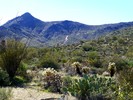 photo thumbnail #11