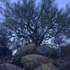 photo thumbnail #1
