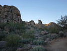 photo thumbnail #5