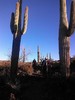 photo thumbnail #8