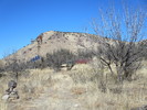 photo thumbnail #4