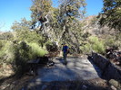 photo thumbnail #7