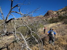 photo thumbnail #12