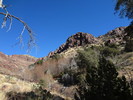 photo thumbnail #13