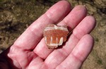 photo thumbnail #8
