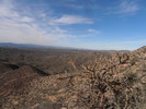 photo thumbnail #12