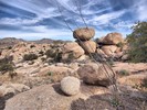 photo thumbnail #11