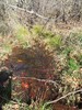 photo thumbnail #13