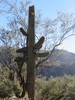 photo thumbnail #13