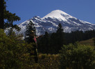 photo thumbnail #12