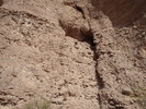 photo thumbnail #9