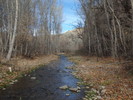 photo thumbnail #15
