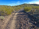 photo thumbnail #13