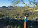 photo thumbnail #15