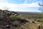 photo thumbnail #3