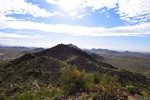 photo thumbnail #4