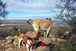 photo thumbnail #5