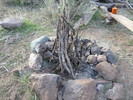 photo thumbnail #12