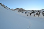 photo thumbnail #12