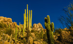 photo thumbnail #7