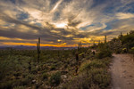 photo thumbnail #10