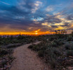 photo thumbnail #14