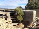 photo thumbnail #15