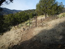 photo thumbnail #5