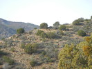 photo thumbnail #10