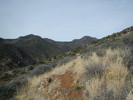 photo thumbnail #13