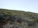photo thumbnail #15