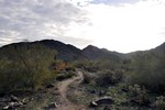 photo thumbnail #3