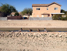 photo thumbnail #10