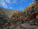 photo thumbnail #7