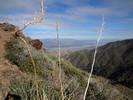 photo thumbnail #12