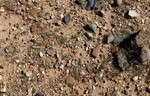 photo thumbnail #9