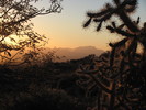 photo thumbnail #4