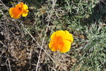 photo thumbnail #7