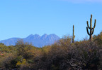 photo thumbnail #8