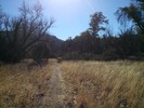photo thumbnail #5
