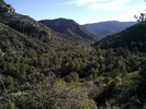 photo thumbnail #11