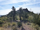 photo thumbnail #8