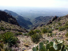 photo thumbnail #10