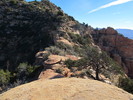photo thumbnail #2