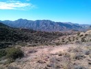 photo thumbnail #5