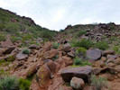 photo thumbnail #11