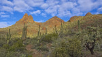 photo thumbnail #6