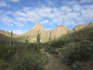 photo thumbnail #4