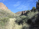 photo thumbnail #7