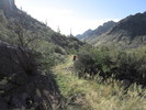 photo thumbnail #8